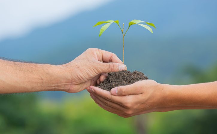 close up picture of hand passing the sapling of the plant to another hand